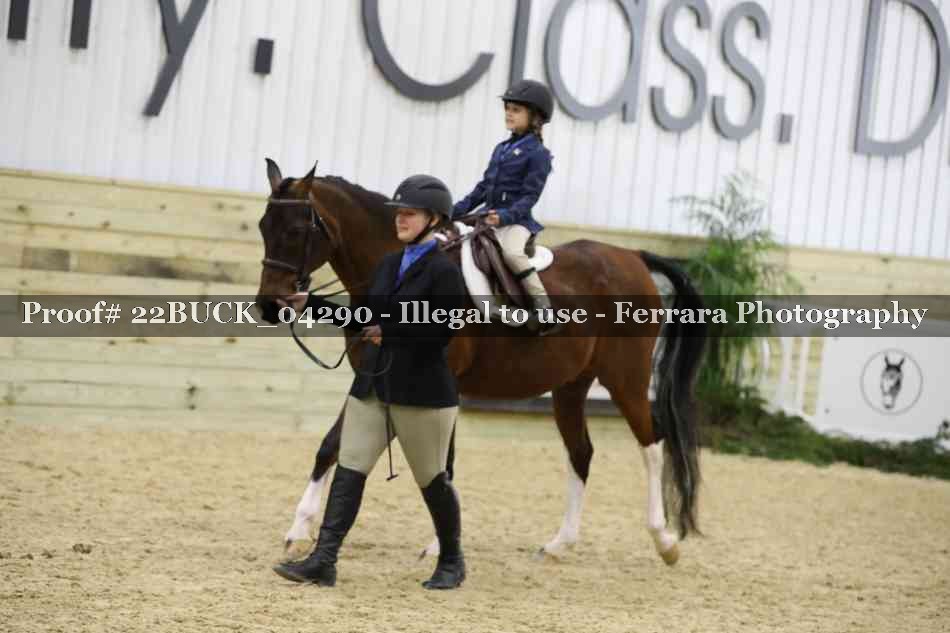 Proof 22BUCK_04290