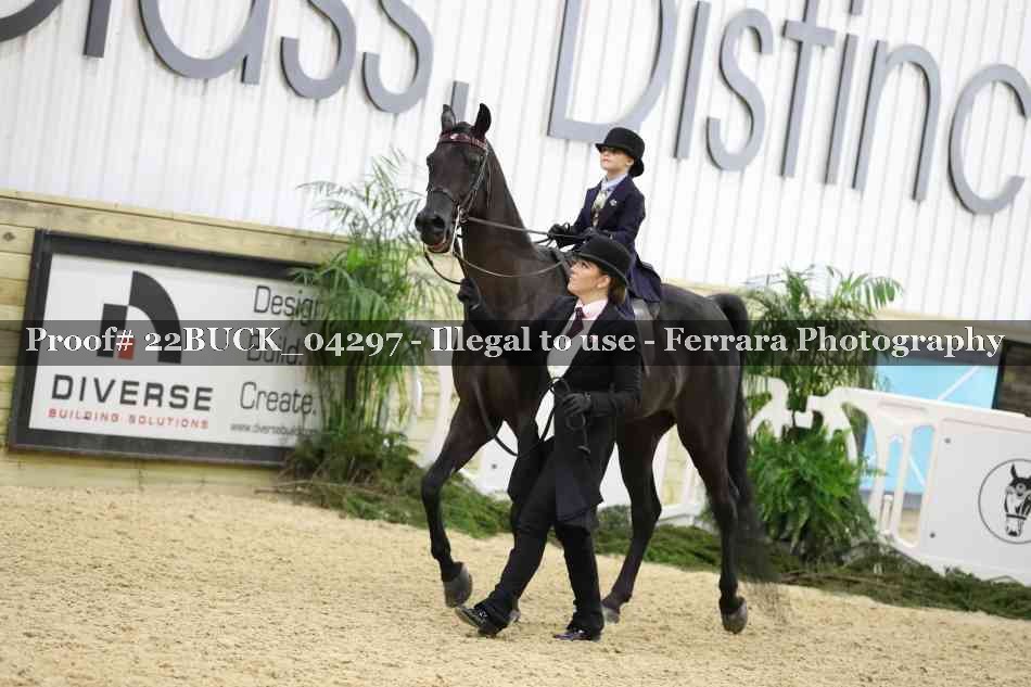 Proof 22BUCK_04297
