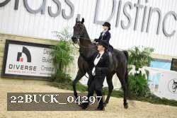 22BUCK_04297 proof