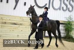 22BUCK_04299 proof