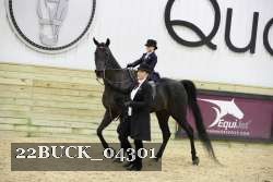 22BUCK_04301 proof