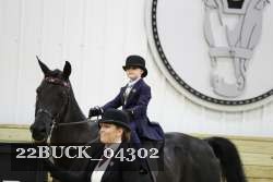 22BUCK_04302 proof