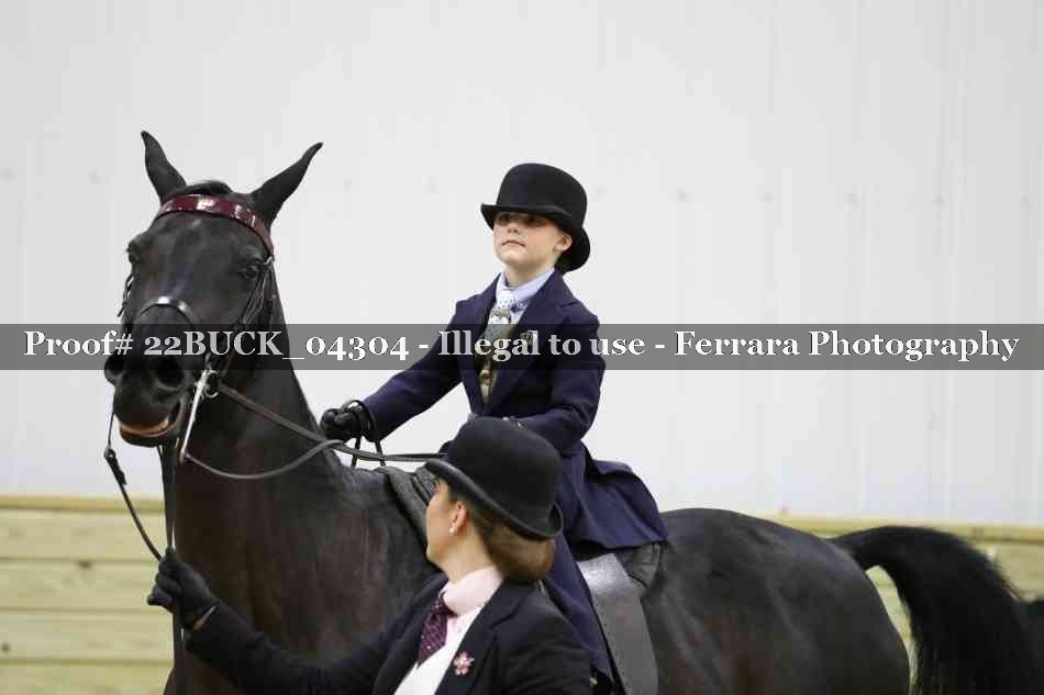Proof 22BUCK_04304