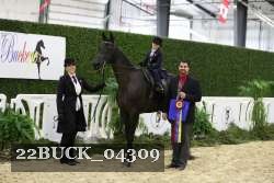 22BUCK_04309 proof