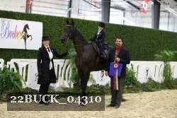 22BUCK_04310 proof