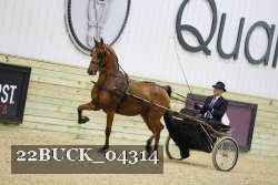 22BUCK_04314 proof