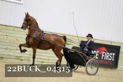 22BUCK_04315 proof