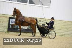 22BUCK_04316 proof