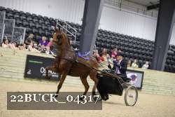 22BUCK_04317 proof