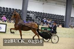 22BUCK_04319 proof