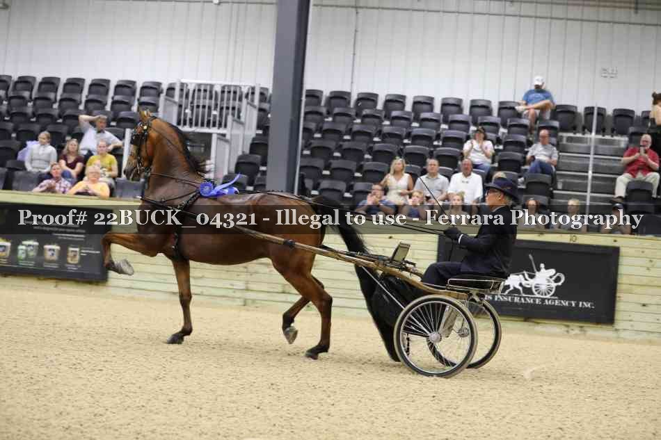 Proof 22BUCK_04321