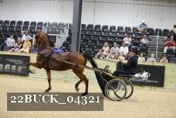 22BUCK_04321 proof