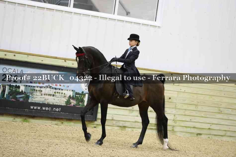 Proof 22BUCK_04322