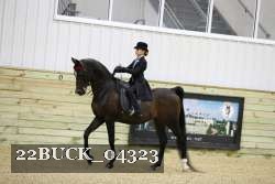 22BUCK_04323 proof
