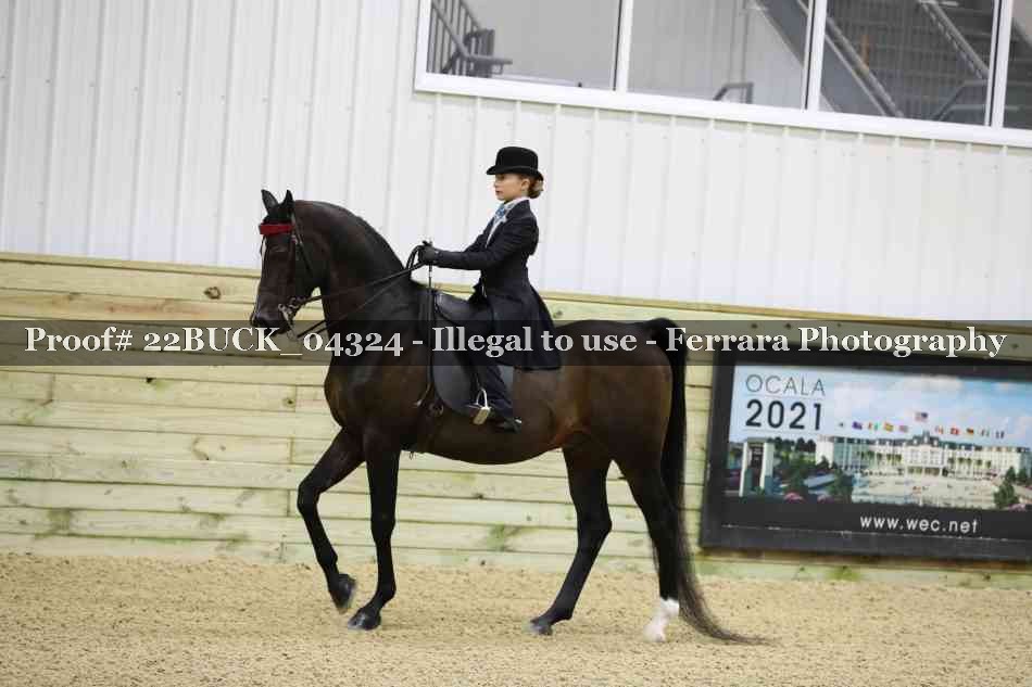 Proof 22BUCK_04324