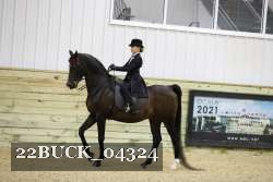 22BUCK_04324 proof