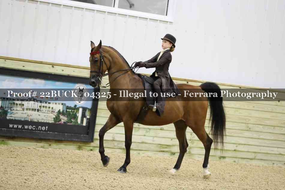 Proof 22BUCK_04325
