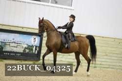 22BUCK_04325 proof