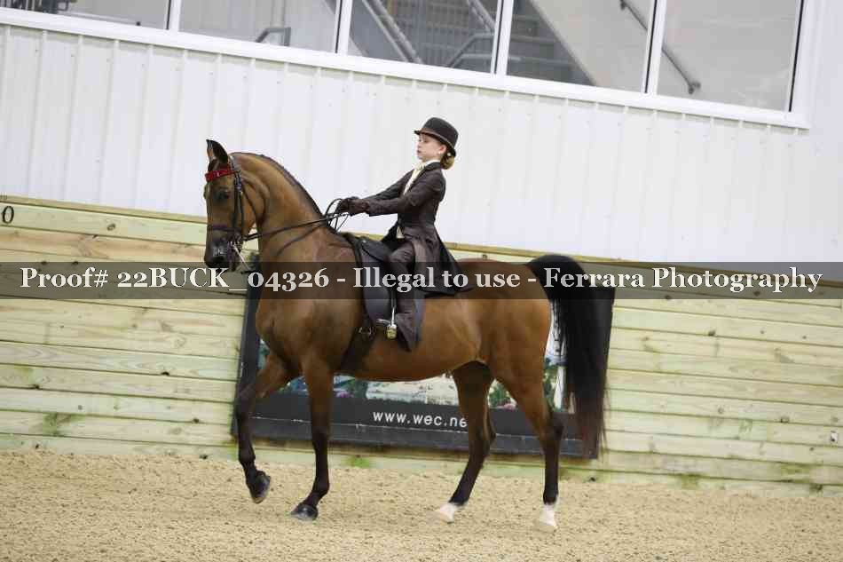 Proof 22BUCK_04326