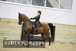22BUCK_04326 proof