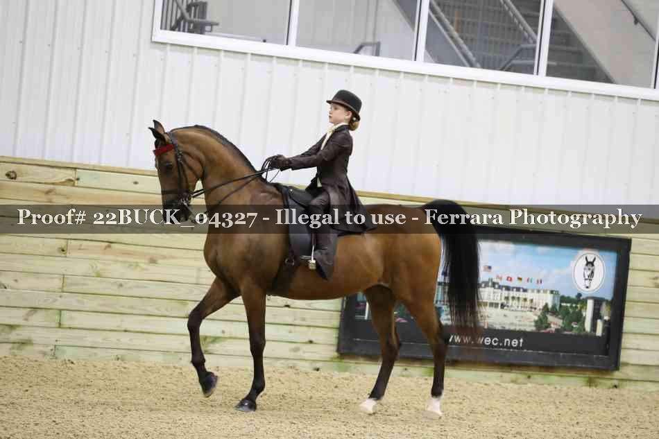 Proof 22BUCK_04327