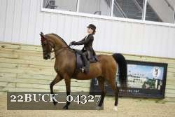 22BUCK_04327 proof