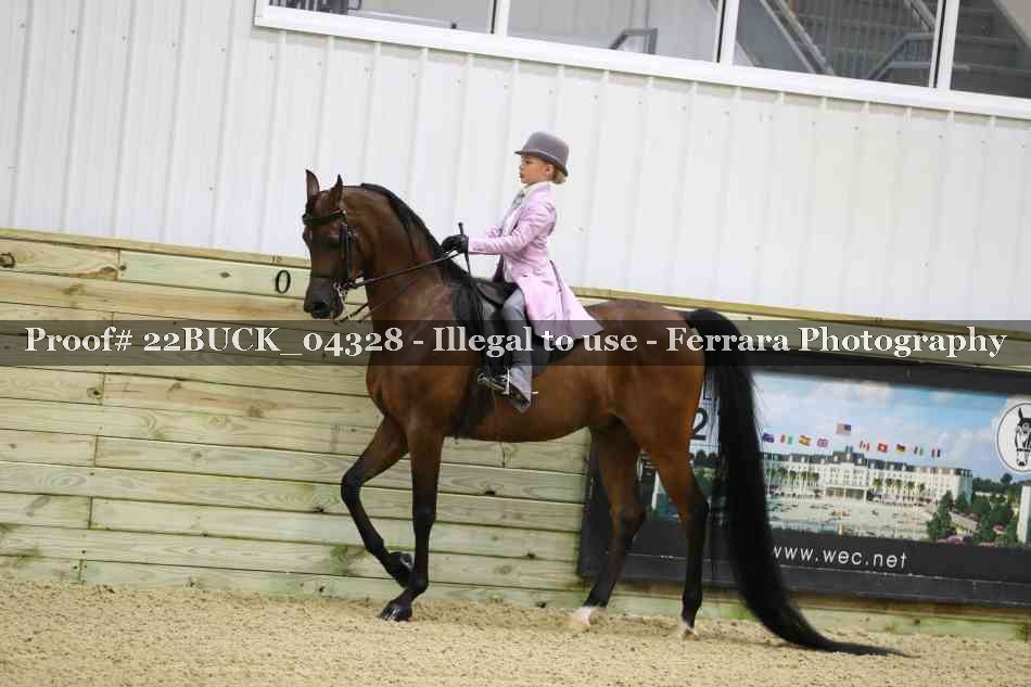 Proof 22BUCK_04328