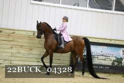 22BUCK_04328 proof
