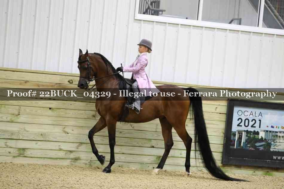 Proof 22BUCK_04329