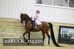 22BUCK_04329 proof