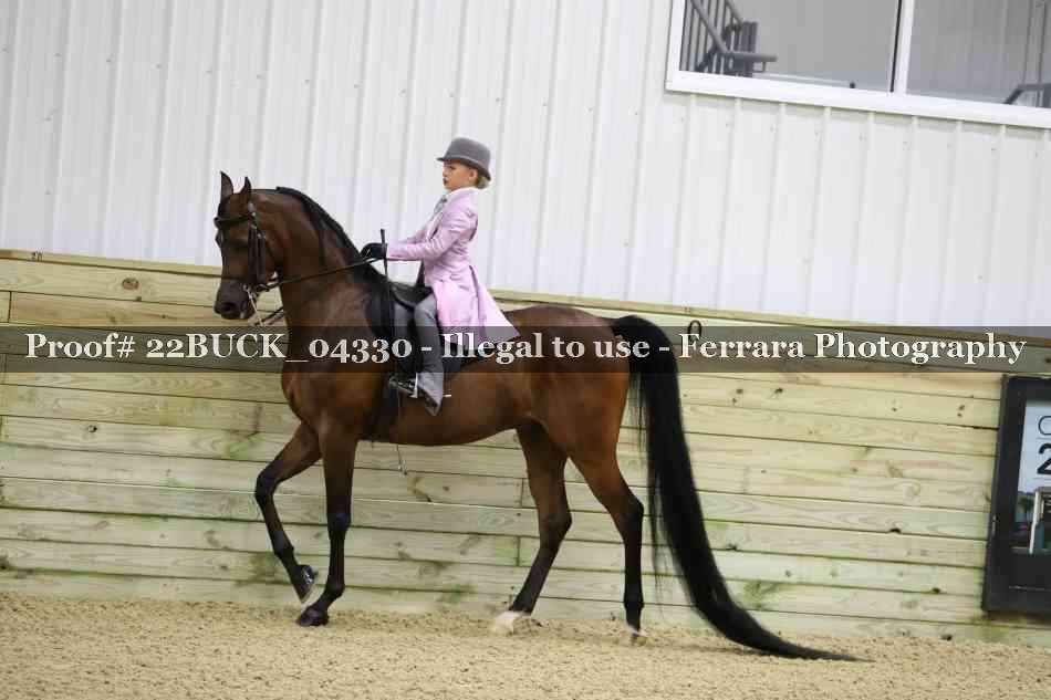 Proof 22BUCK_04330
