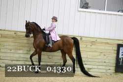 22BUCK_04330 proof