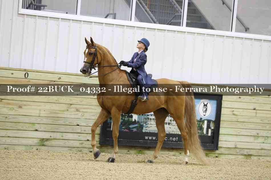 Proof 22BUCK_04332