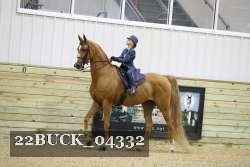 22BUCK_04332 proof