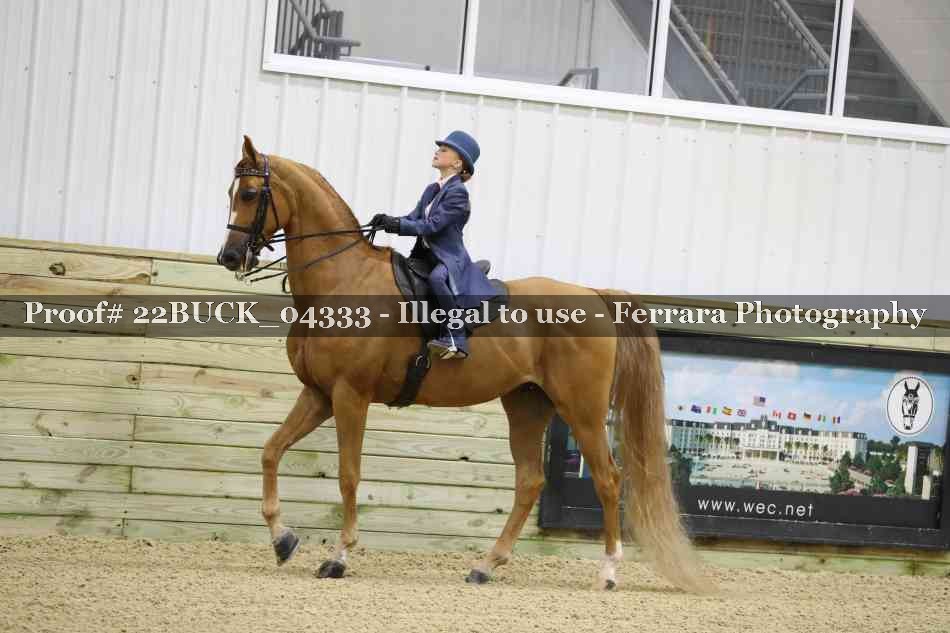 Proof 22BUCK_04333