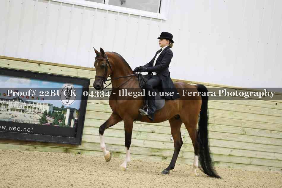 Proof 22BUCK_04334
