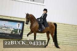 22BUCK_04334 proof