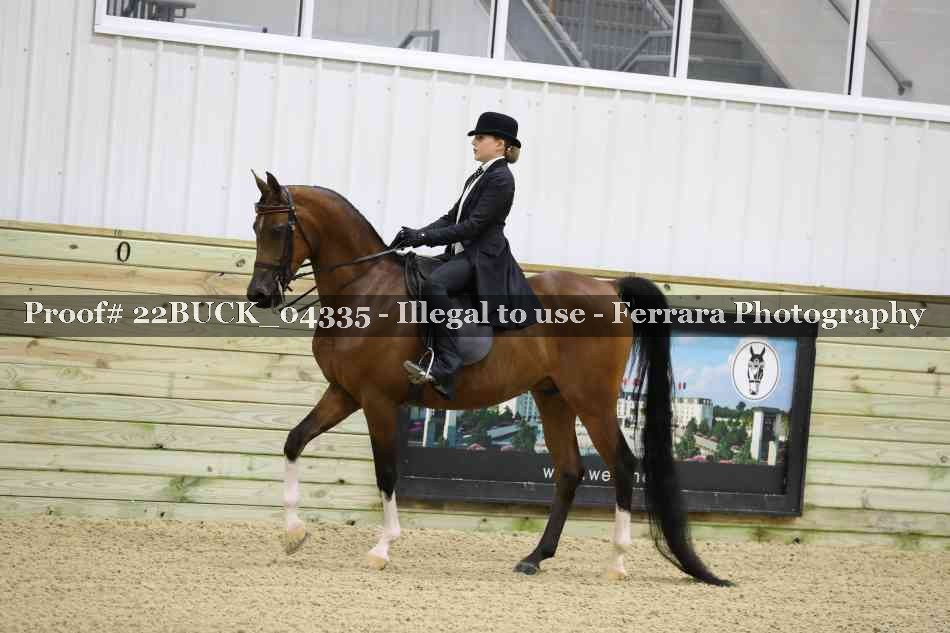 Proof 22BUCK_04335