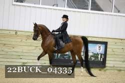22BUCK_04335 proof