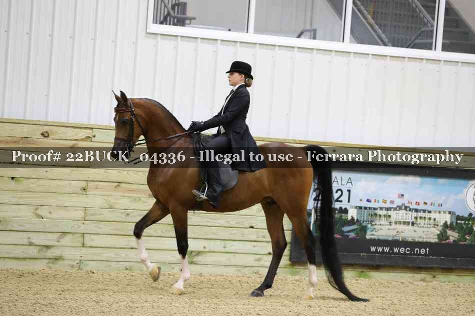 Proof 22BUCK_04336
