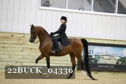 22BUCK_04336 proof