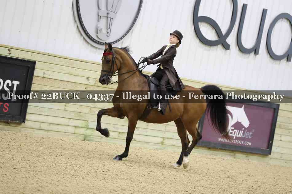 Proof 22BUCK_04337