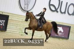 22BUCK_04337 proof