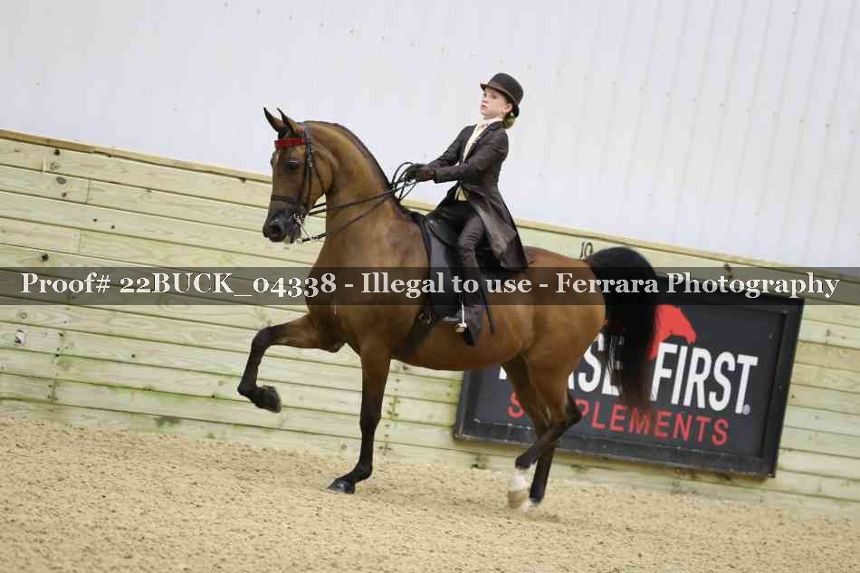 Proof 22BUCK_04338