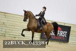 22BUCK_04338 proof