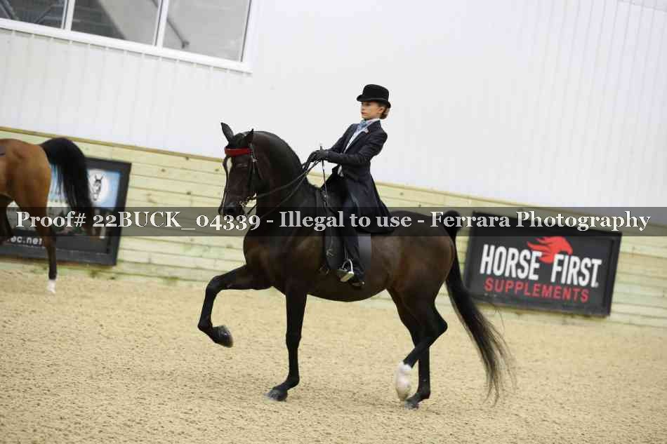 Proof 22BUCK_04339