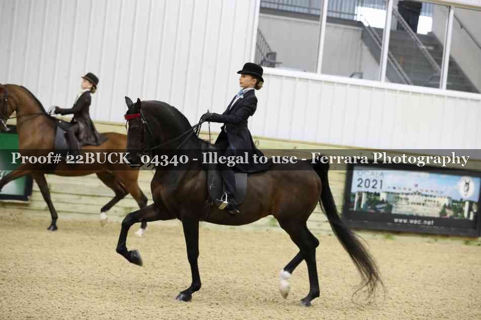 Proof 22BUCK_04340