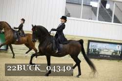 22BUCK_04340 proof