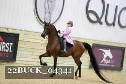22BUCK_04341 proof