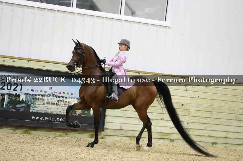 Proof 22BUCK_04343